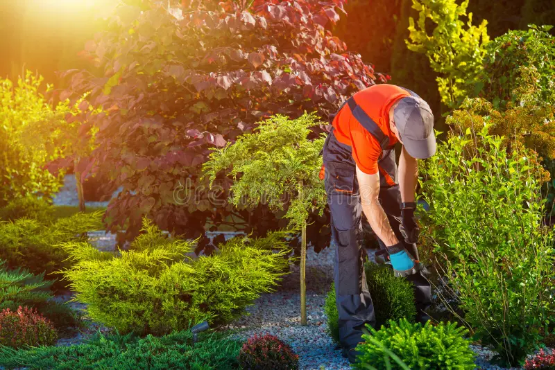 Garden Works