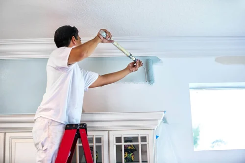 Painting & Ceiling Works